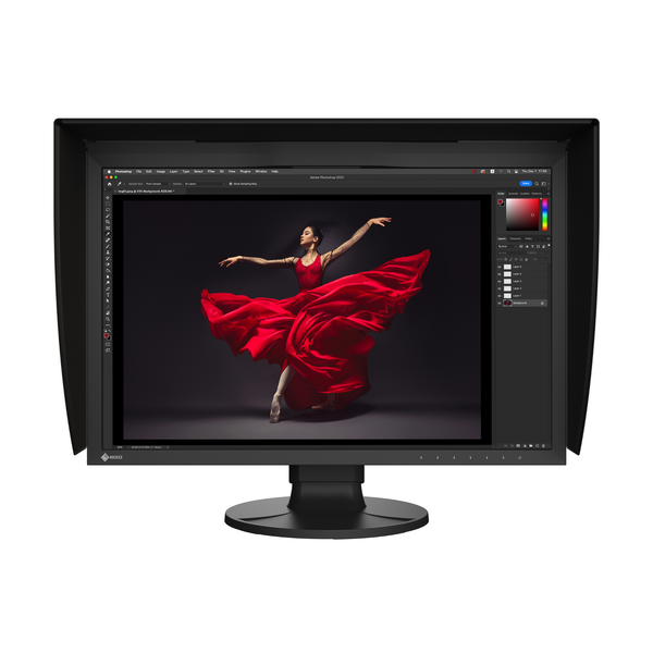 Old Model 24in Eizo Monitor