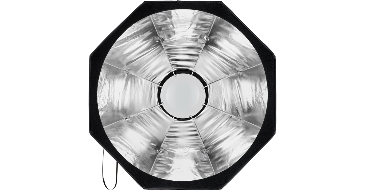 Profoto Beauty Dish Silver Kit with Grid