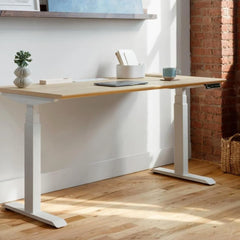 Electric Standing Desk